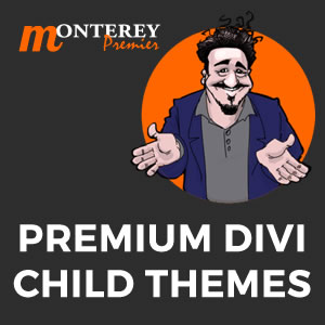 Divi Child Themes and Plugins